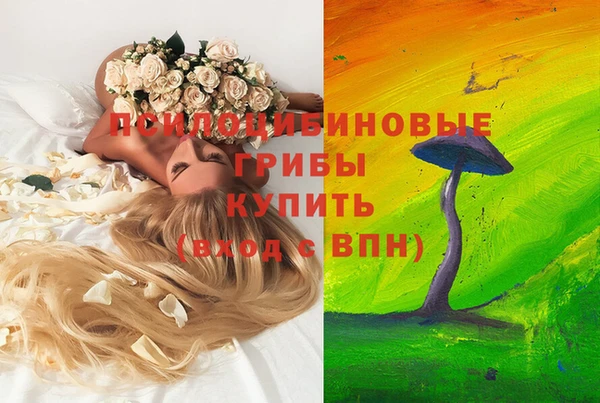 СК Касимов