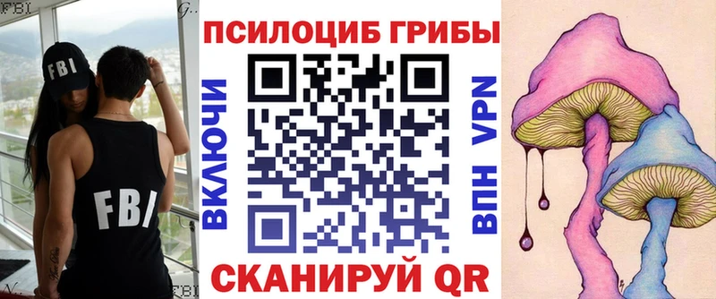 Купить  Шадринск  Галлюциногенные грибы MAGIC MUSHROOMS 